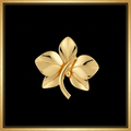 Broche Orquídea